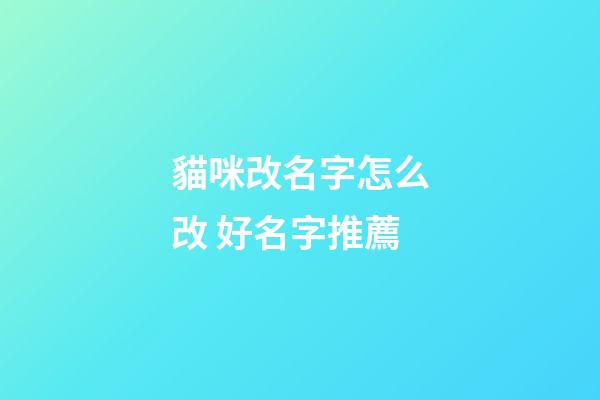 貓咪改名字怎么改 好名字推薦